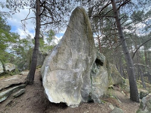 Image of Érecto Verso (6c)